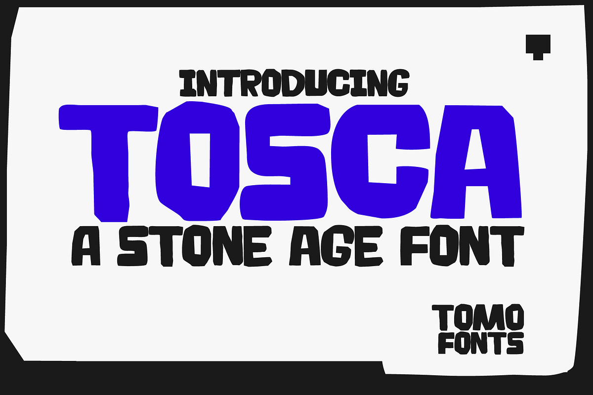 TOMO Tosca, a Sans Serif Font by TOMO Fonts (Photo 1 of 10)