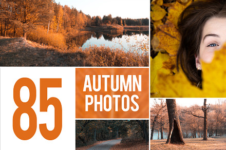 85 Autumn Theme Photos, a Nature Photo by Lunarts Studio