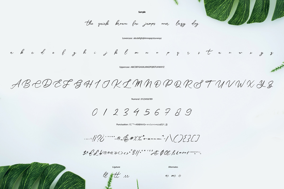 Das Pines - Modern Calligraphy, a Script Font by VUNIRA (Photo 2 of 6)