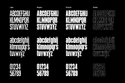Premiero Alt - Bold Condensed Font, a Serif Font by Typeparties (Thumbnail 9 of 10)