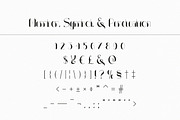 Louis Carpe Modern Display, a Font by infernostudio3 (Thumbnail 9 of 10)