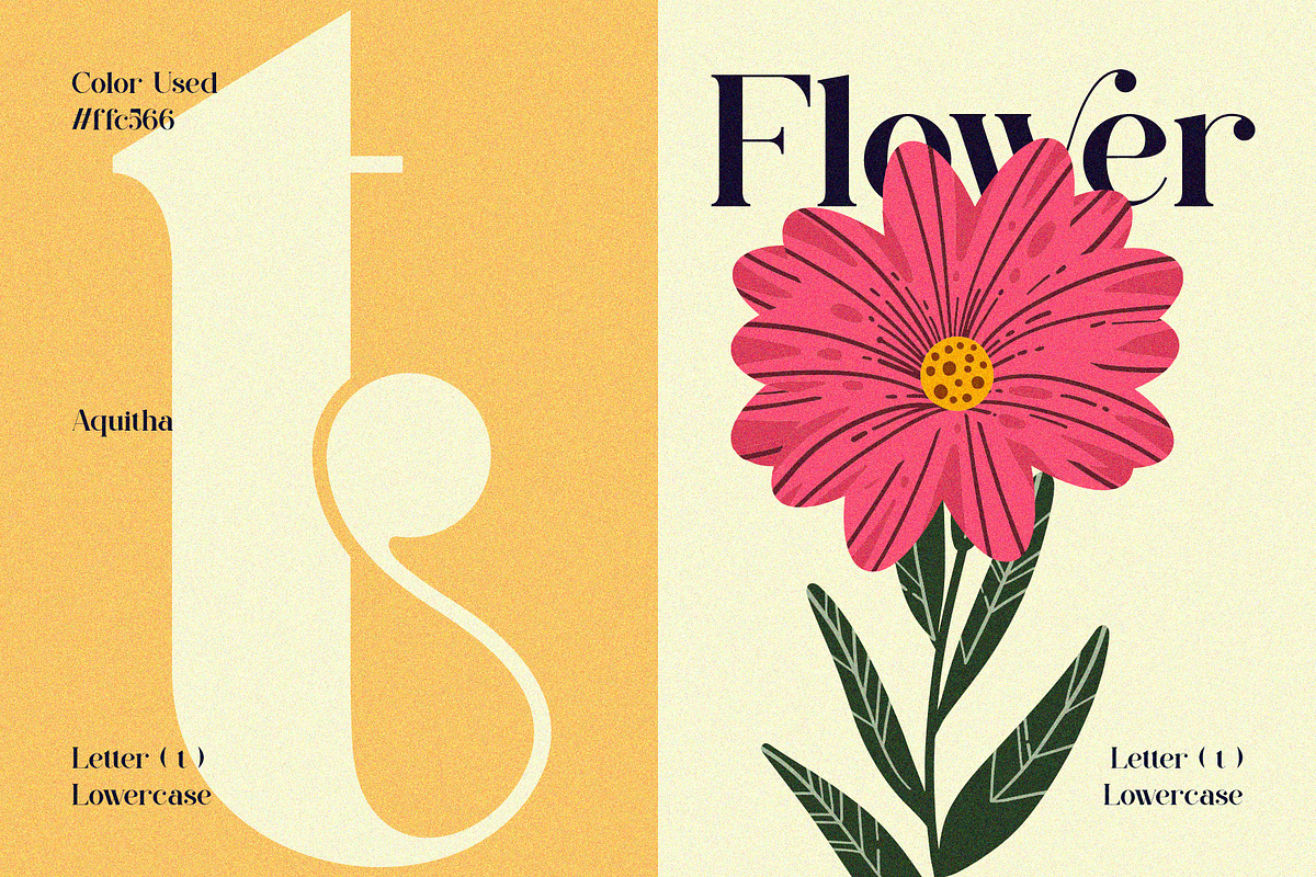Aquitha || Elegant Serif Font, a Serif Font by Idea Studio (Photo 4 of 10)