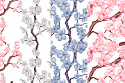 Watercolor cherry blossom, an Illustration by Color_Brush (Thumbnail 3 of 5)