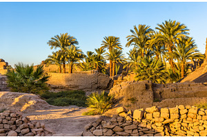Vegetation in the Karnak Temple Complex - Luxor, Egypt, an Architecture Photo by Leonid Andronov