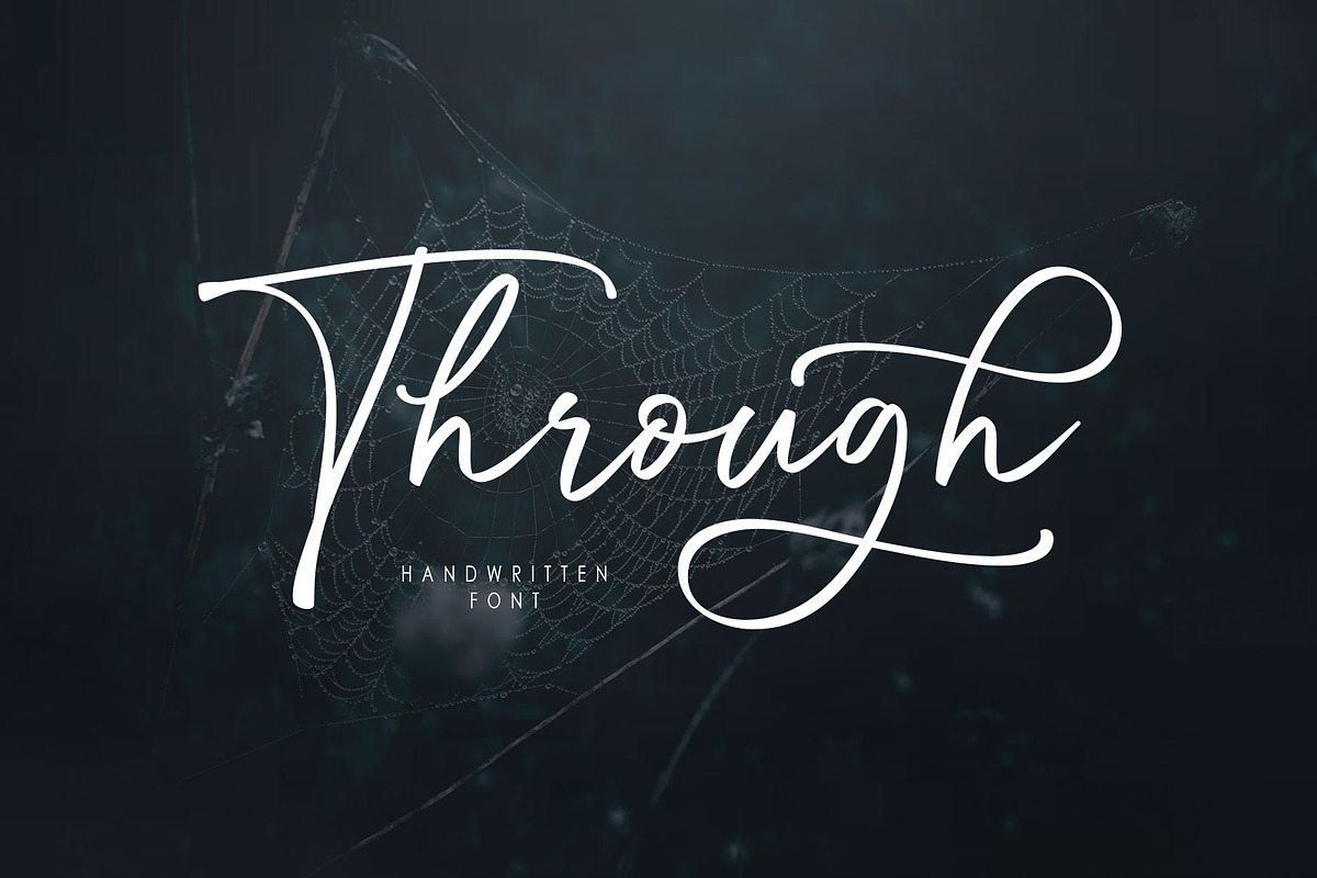 Through Script, a Script Font by moriztype (Photo 1 of 11)