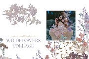 Wildflowers collage collection, a Texture Graphic by Anna Sokol (Thumbnail 7 of 21)