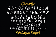 Reinstay - Brush Script Font, a Script Font by StringLabs (Thumbnail 11 of 12)