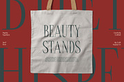 Papike – Modern Serif, a Serif Font by Craft Supply Co. (Thumbnail 6 of 8)