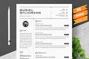 Resume/CV Bundle | 200+ for $29, a Resume Template by ResumeInventor (Thumbnail 139 of 207)