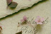 Birch Paper // Handwritten Font, a Script Font by PeachCreme (Thumbnail 3 of 14)