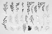 Wedding Invitations collection, an Invitation Template by Garden in frame (Thumbnail 6 of 8)
