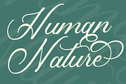 Histogram Script Font, a Script Font by Arendxstudio (Thumbnail 5 of 8)