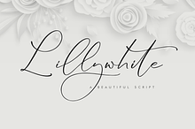 Lillywhite A Beautiful Script Font