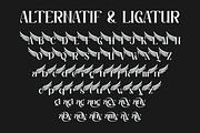 Mafya, a Serif Font by Kenrichi (Thumbnail 3 of 6)
