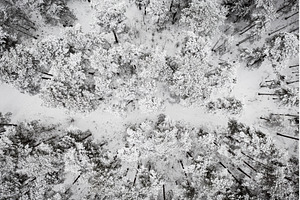 Winter road in snow covered forest, a Nature Photo by Nature and travel