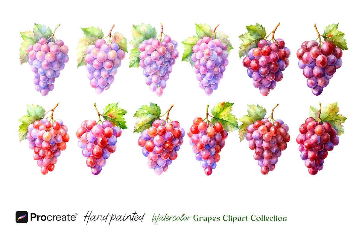 Watercolor Grapes Clipart, an Object Illustration by crafty (Photo 11 of 11)