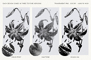 Floral Halftone & Ink PNG Overlays, an Object Graphic by alonahaidash (Thumbnail 4 of 11)
