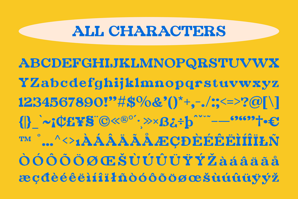 Lunavie – Bold Serif, a Serif Font by Craft Supply Co. (Photo 8 of 8)