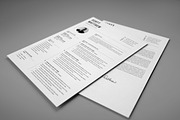 Resume/CV, a Resume Template by SlideCo (Thumbnail 6 of 8)