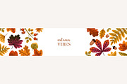 Autumn leaves. Fall set, backgrounds, a Seasonal Illustration by Good Studio (Thumbnail 10 of 13)