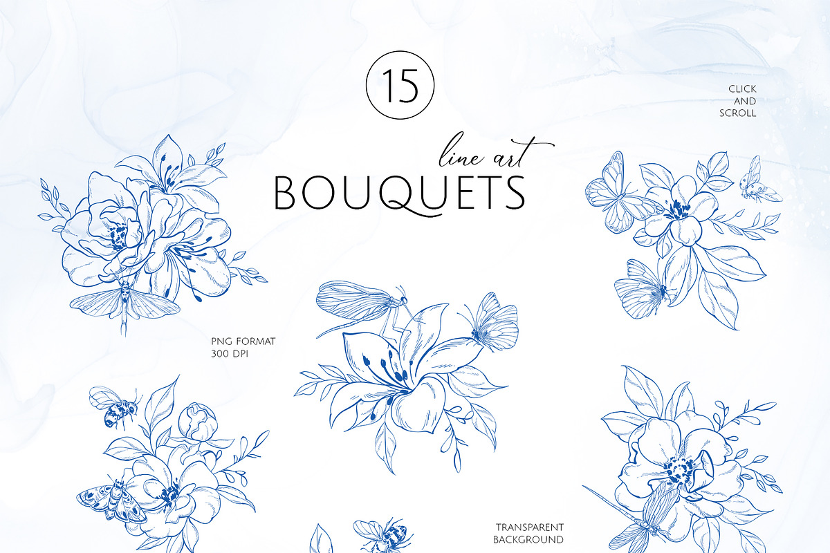 INSECTS & FLOWERS line art set, a Decorative Illustration by Yuliia Lashevska (Photo 3 of 12)