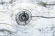 rustic wood grain texture bundle, a Texture Graphic by VetalStock (Thumbnail 5 of 11)