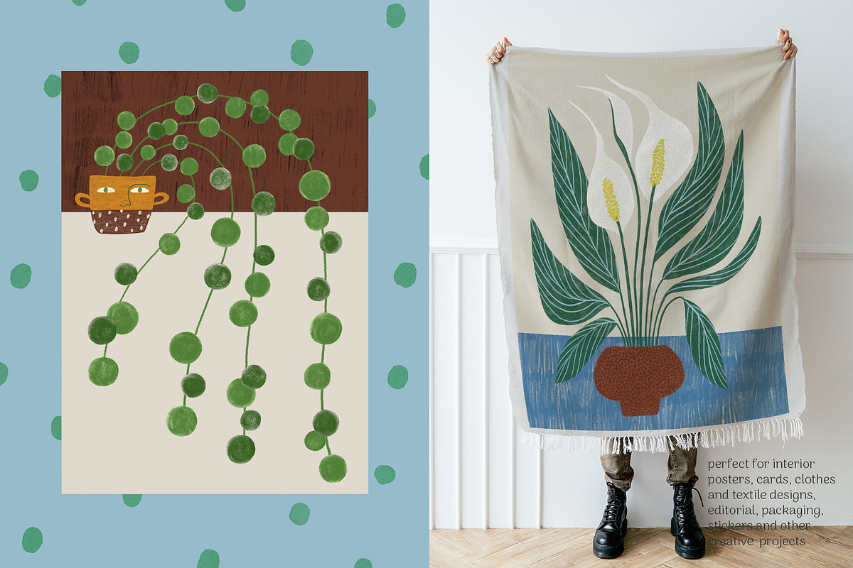 Peperomia - eclectic houseplants, an Illustration by Annakniaz (Photo 7 of 14)