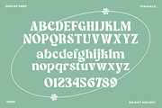 Bright Melody A Display Typeface, a Serif Font by zeenesia (Thumbnail 14 of 18)