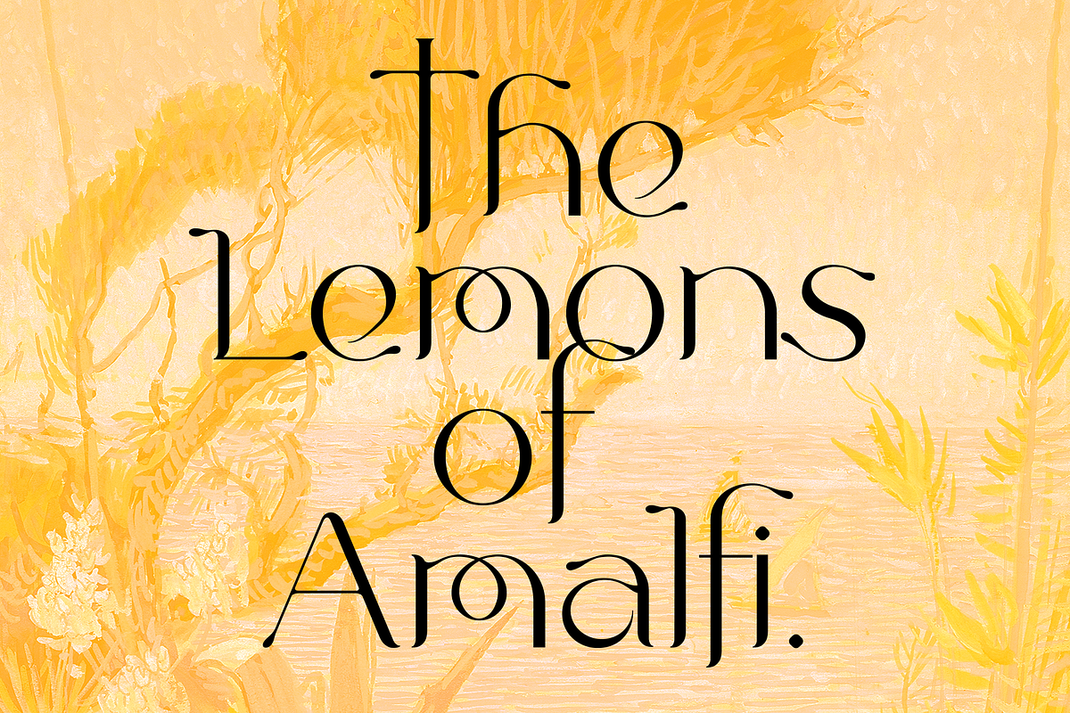 Lemonade. Chic new social media font, a Serif Font by LostandFoundry (Photo 2 of 6)
