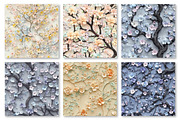 Pastel 3D Floral Trees Digital Paper, a Texture Graphic by Dream Creation (Thumbnail 6 of 6)