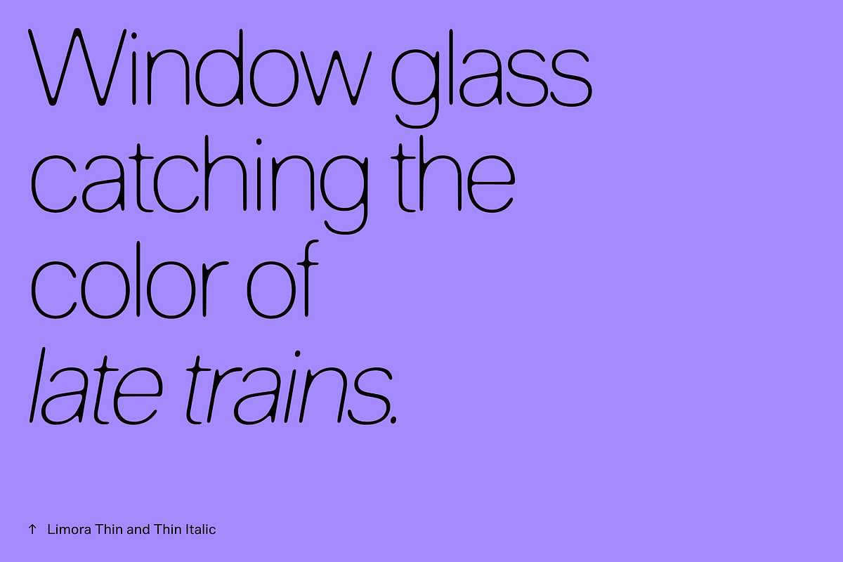Limora, a Sans Serif Font by Nameless Type Foundry (Photo 5 of 10)