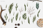 Forest Equilibrium Collection, an Animal Illustration by Julia Dreams (Thumbnail 7 of 8)