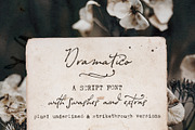 Typewriter and Script font pack, a Font by Ana's Fonts (Thumbnail 13 of 19)