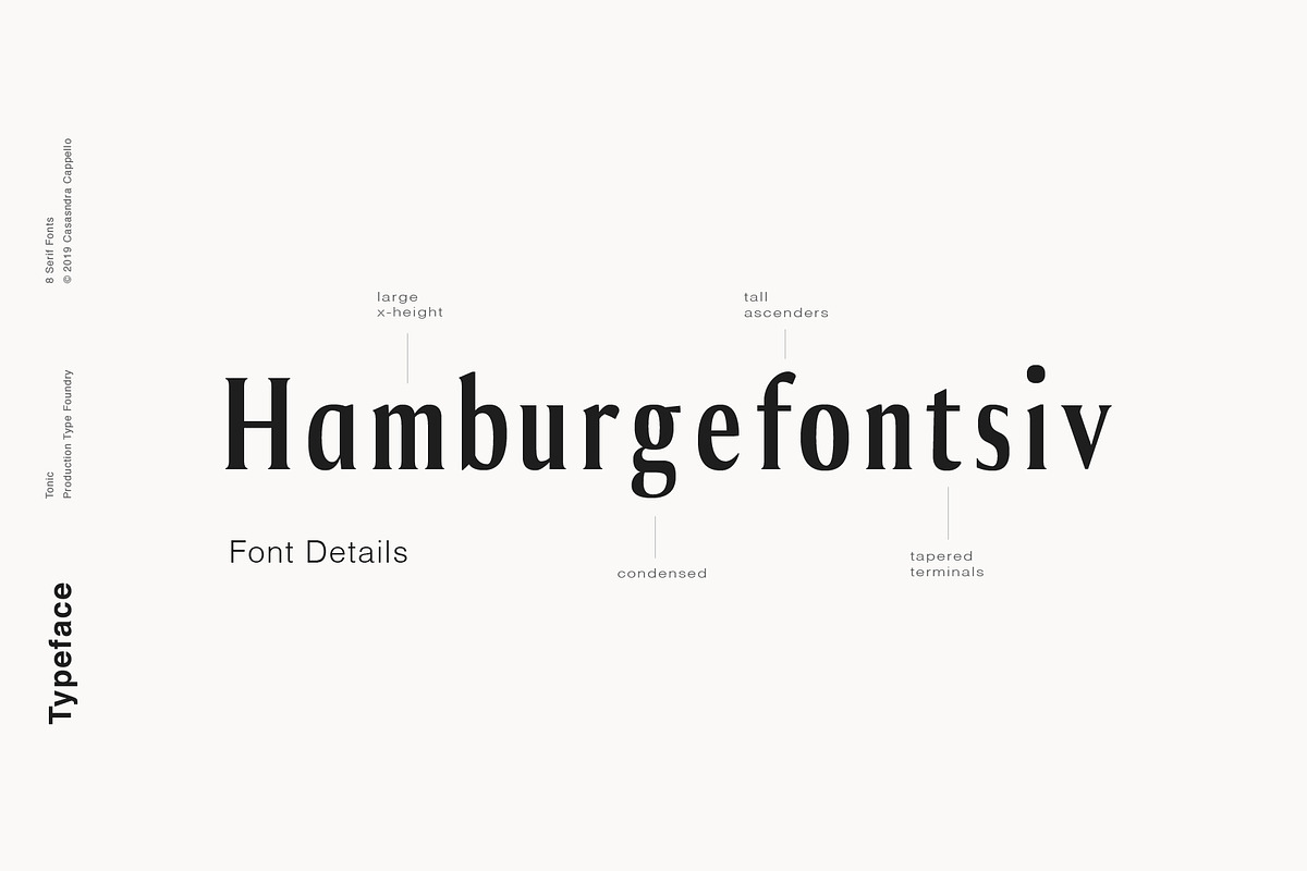 Tonic - Luxurious Serif Typeface preview 3