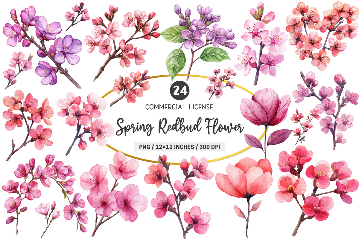 Spring Redbud Flower Clipart, an Illustration by SinaCreation (Photo 1 of 5)