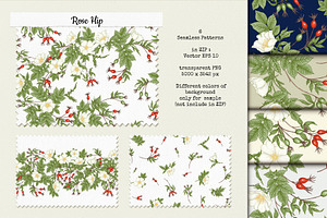 Rose Hip 6 Seamless Pattern