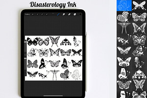 Butterfly Outlines Set 5 Procreate