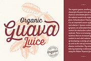 Britton Script, a Script Font by DISTRICT 62 STUDIO (Thumbnail 2 of 17)