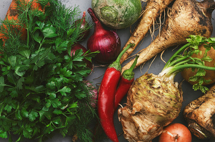 Autumn food background with vegetables, root crops: celery, radi, a Food & Drink Photo by 5PH