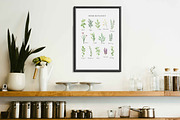HERB BOTANIST watercolor clipart, a Decorative Illustration by Momo Studio (Thumbnail 6 of 15)
