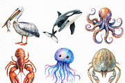 Watercolor Ocean Animals Clipart, an Illustration by Craft Nest (Thumbnail 3 of 6)