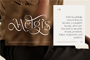 Melgis - Beauty Line & Simple Font, a Sans Serif Font by AuthenType (Thumbnail 2 of 15)