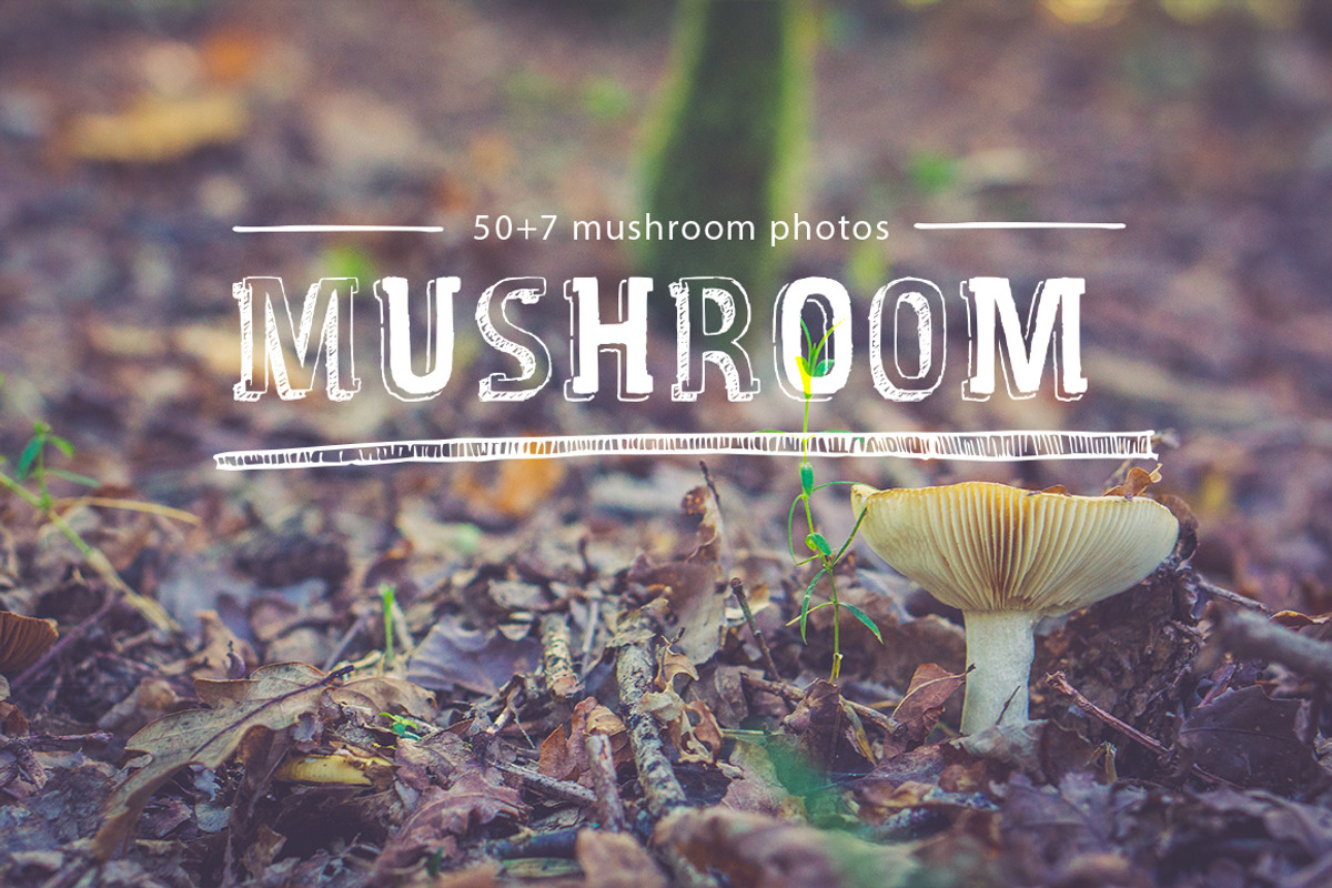 mushroom pack, a Templates & Theme by ApertureVintage (Photo 2 of 4)
