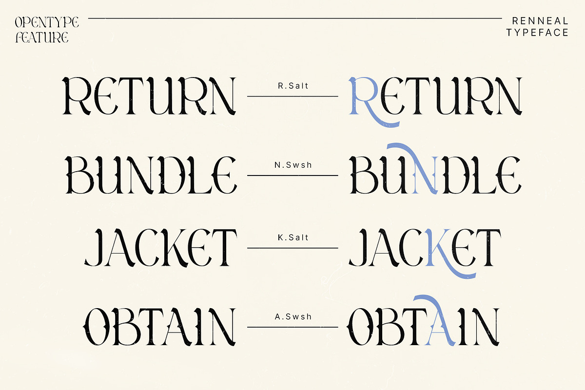 Renneal, a Serif Font by Nathatype (Photo 8 of 11)