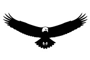 50 Flying Eagle Silhouette Vector Bu, an Illustration by Designs_River (Thumbnail 5 of 51)