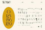 Monico Display Font, a Serif Font by Eotype Studio (Thumbnail 9 of 11)