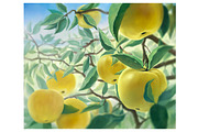 Apple set, a Food Illustration by Countryside life (Thumbnail 10 of 12)