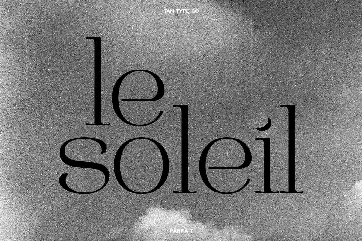 TAN - PARFAIT, a Serif Font by TanType (Photo 12 of 21)