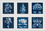 Lupa Co · Cyanotype Botanical Stamps, a Texture Illustration by milatovar (Thumbnail 3 of 18)