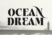 Aver Magera Luxury Font, a Serif Font by Randi Irvan | Rvandtype (Thumbnail 4 of 12)